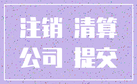 注销 清算_公司 提交