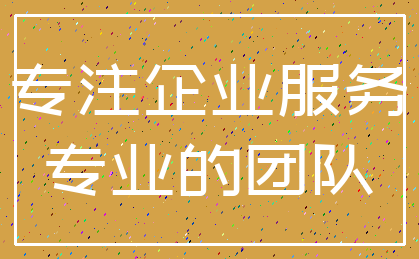 专注企业服务_专业的团队