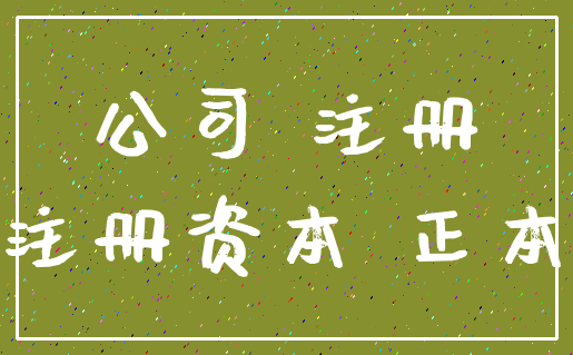 公司 注册_注册资本 正本