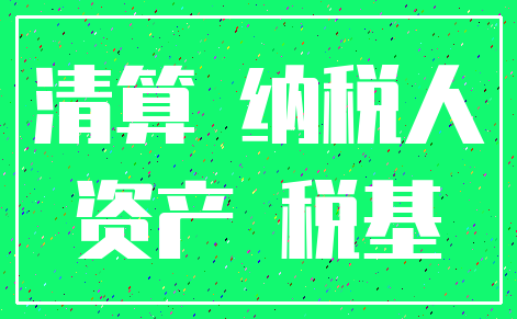 清算 纳税人_资产 税基