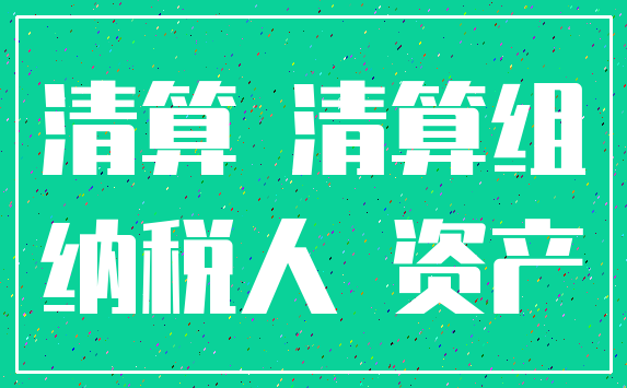 清算 清算组_纳税人 资产