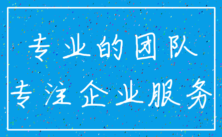 专业的团队_专注企业服务