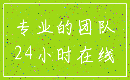 专业的团队_24小时在线