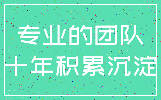专业的团队_十年积累沉淀