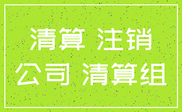 清算 注销_公司 清算组