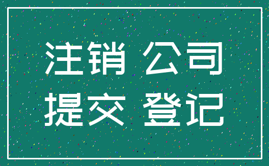 注销 公司_提交 登记