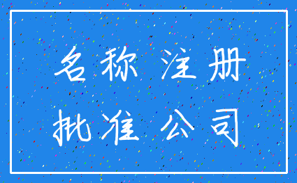 名称 注册_批准 公司