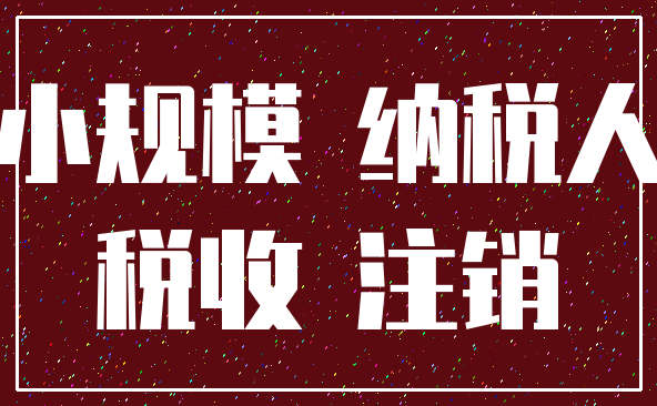 小规模 纳税人_税收 注销