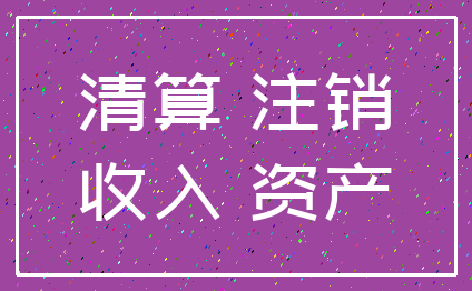 清算 注销_收入 资产