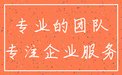 专业的团队_专注企业服务
