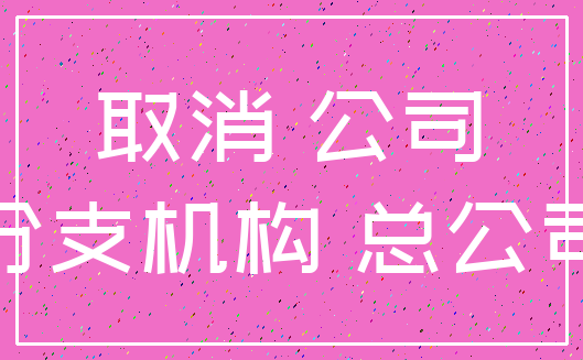取消 公司_分支机构 总公司