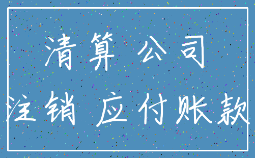 清算 公司_注销 应付账款