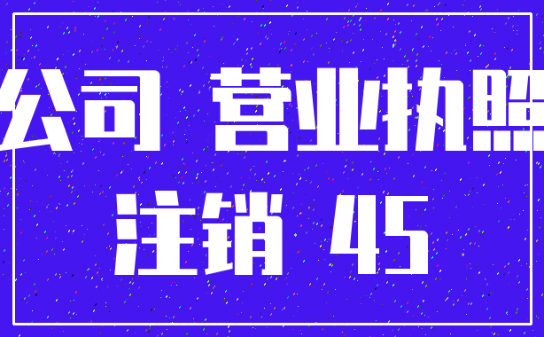 公司 营业执照_注销 45