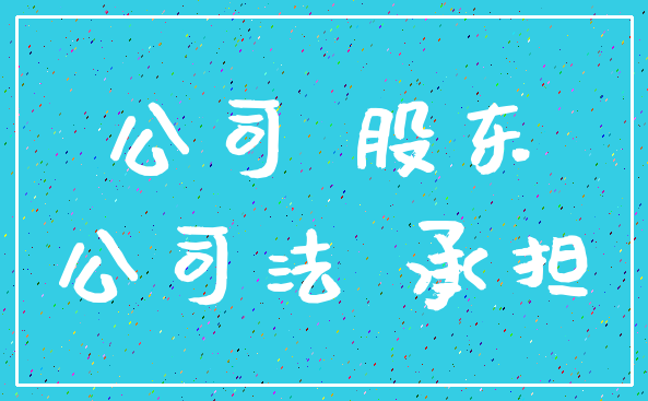 公司 股东_公司法 承担