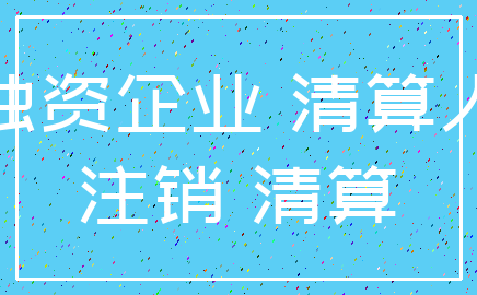 独资企业 清算人_注销 清算
