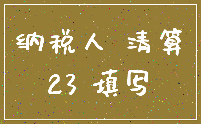 纳税人 清算_23 填写