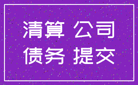 清算 公司_债务 提交