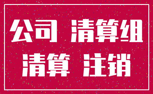 公司 清算组_清算 注销