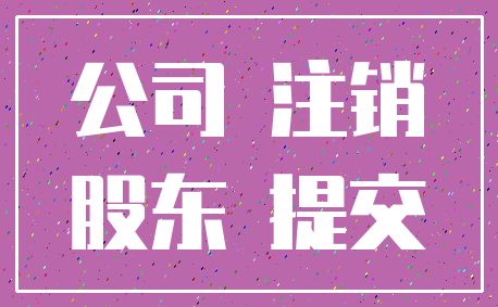 公司 注销_股东 提交