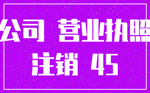 公司 营业执照_注销 45