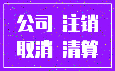 公司 注销_取消 清算