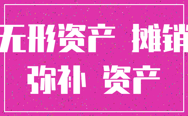 无形资产 摊销_弥补 资产