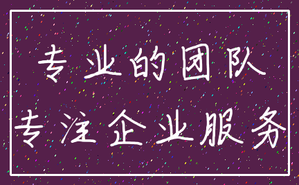 专业的团队_专注企业服务