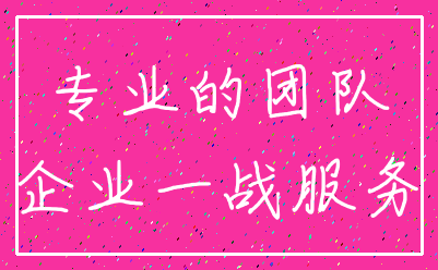 专业的团队_企业一战服务