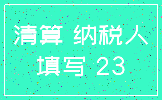 清算 纳税人_填写 23