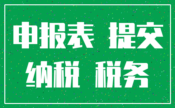 申报表 提交_纳税 税务