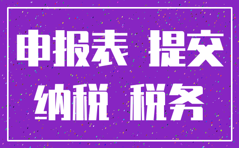 申报表 提交_纳税 税务