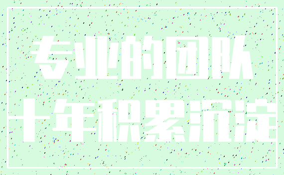 专业的团队_十年积累沉淀