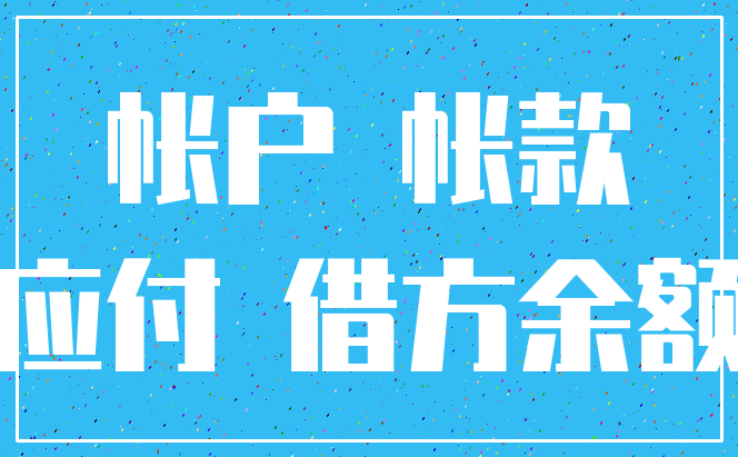 帐户 帐款_应付 借方余额