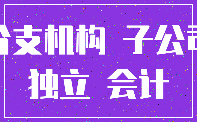 分支机构 子公司_独立 会计