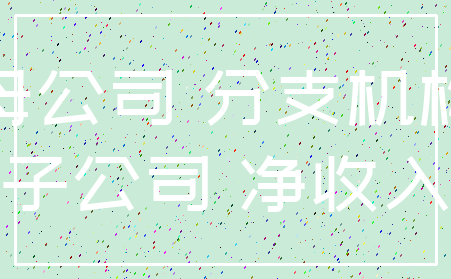 母公司 分支机构_子公司 净收入