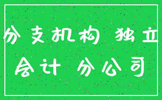 分支机构 独立_会计 分公司
