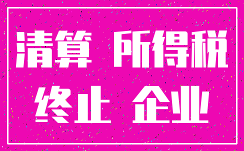 清算 所得税_终止 企业