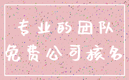 专业的团队_免费公司核名