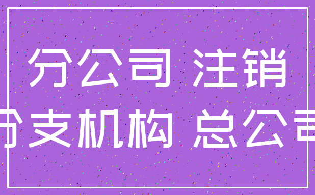 分公司 注销_分支机构 总公司