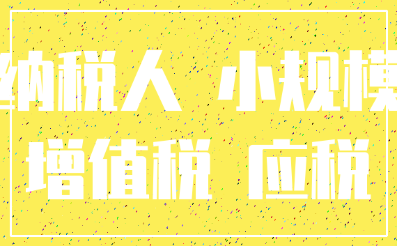 纳税人 小规模_增值税 应税