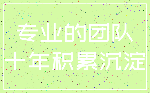 专业的团队_十年积累沉淀
