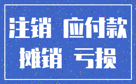 注销 应付款_摊销 亏损