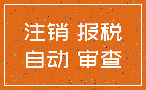注销 报税_自动 审查