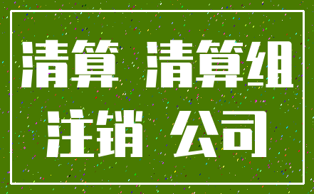 清算 清算组_注销 公司