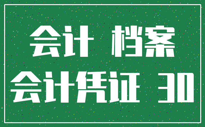 会计 档案_会计凭证 30