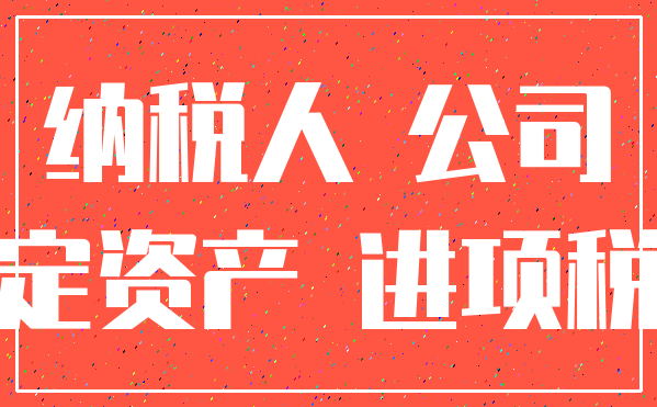 纳税人 公司_固定资产 进项税额