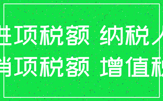 进项税额 纳税人_销项税额 增值税