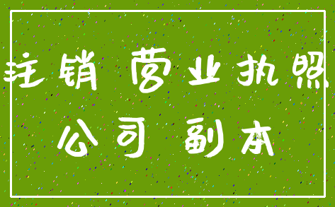 注销 营业执照_公司 副本