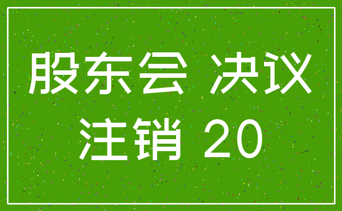 股东会 决议_注销 20