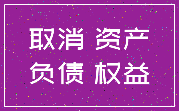 取消 资产_负债 权益